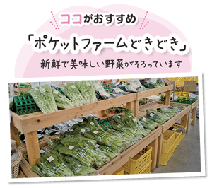 ココがおすすめ　「ポケットファームどきどき」　新鮮で美味しい野菜がそろっています