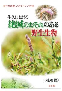 初版　表紙