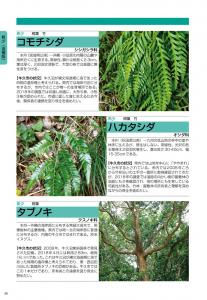 追補版　本文