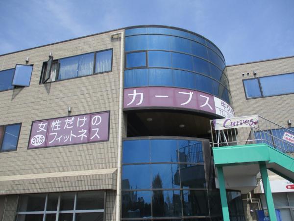 新カーブス
