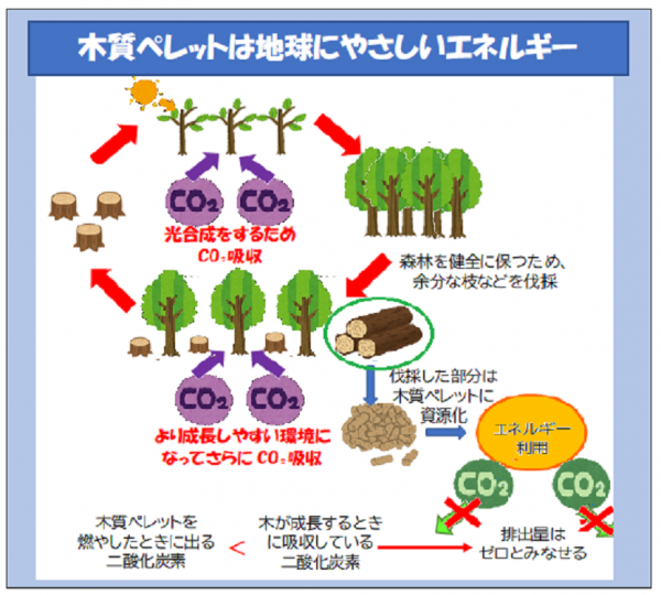 木質ペレットは地球にやさしいエネルギー