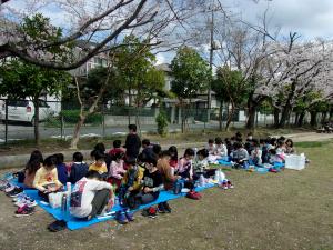 桜の木の下でお弁当を食べる様子