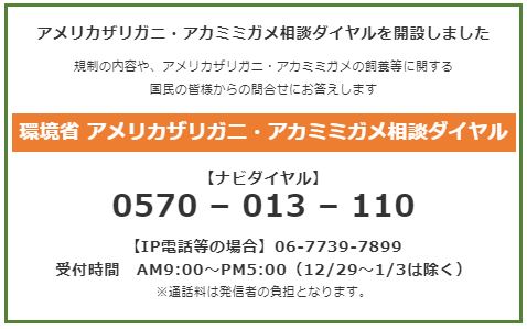 アメリカザリガニ・アカミミガメ相談ダイヤルを開設しました。規制の内容や、アメリカザリガニ・アカミミガメの飼養等に関する国民の皆様からの問合せにお答えします。環境省　アメリカザリガニ・アカミミガメ相談ダイヤル　ナビダイヤル　0570-013-110　IP電話等の場合　06-7739-7899　受付期間午前9時から午後5時(12月29日から1月3日は除く)　通話料は発信者の負担となります。