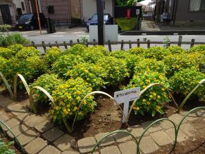 神谷神和会　花壇