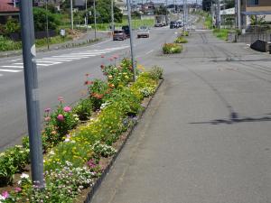 つつじが丘ふれあい花の会　花壇