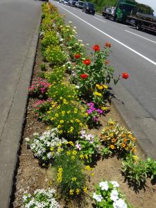 つつじが丘ふれあい花の会　花壇
