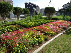 栄町行政区　花壇