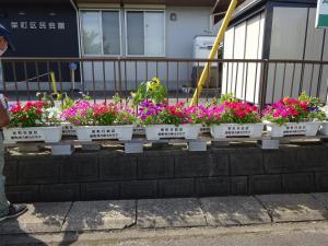 栄町行政区　花壇