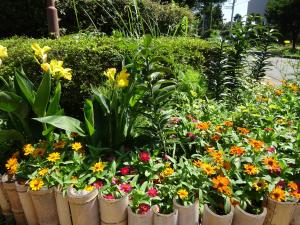 牛久シャトー花の会　花壇