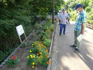 下根ヶ丘みどりの会　花壇