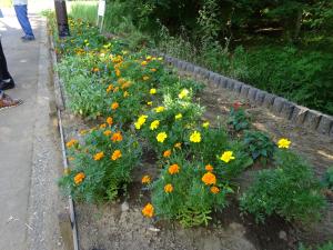 下根ヶ丘みどりの会　花壇