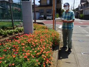 神谷二区ふれあい通り　花壇
