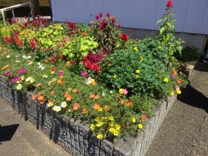 神谷二区ふれあい通り　花壇
