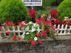東みどり野シニアクラブ　花壇