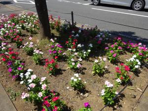 田宮区ふれあい通り　花壇