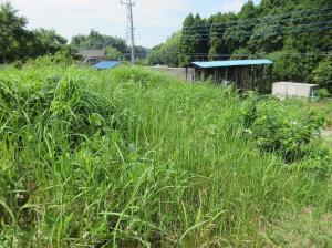 No.167(1)