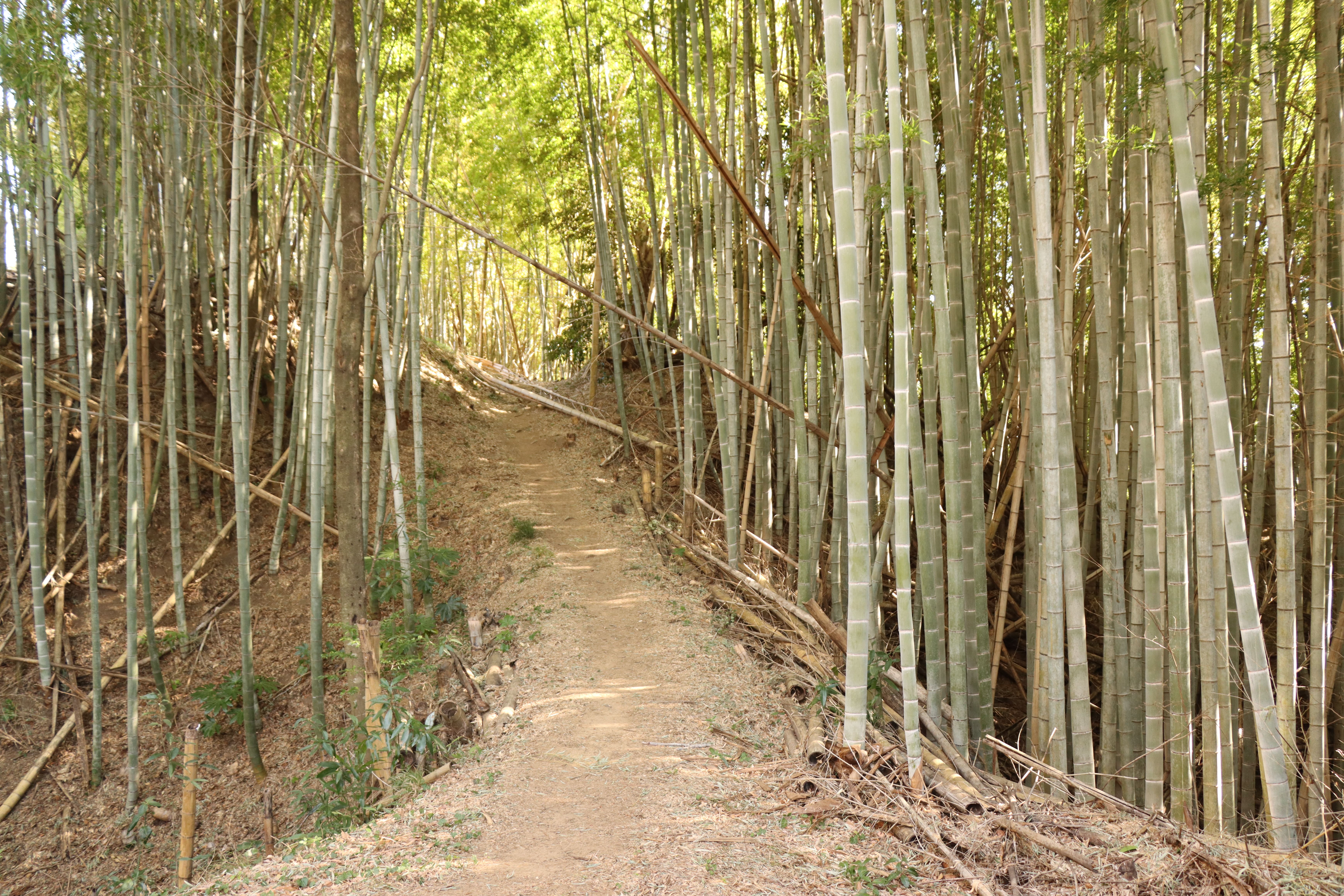 牛久城址3