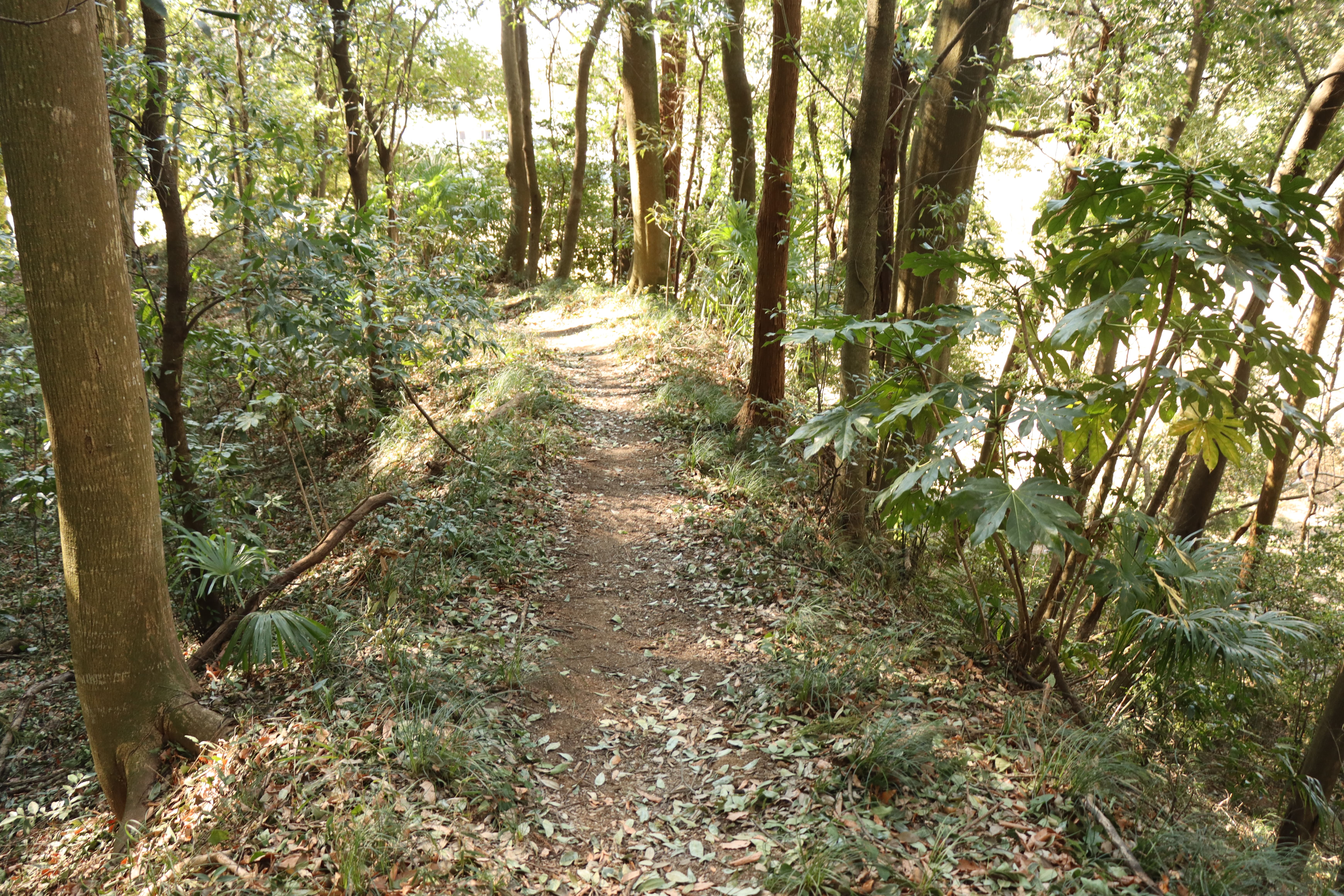 牛久城址4