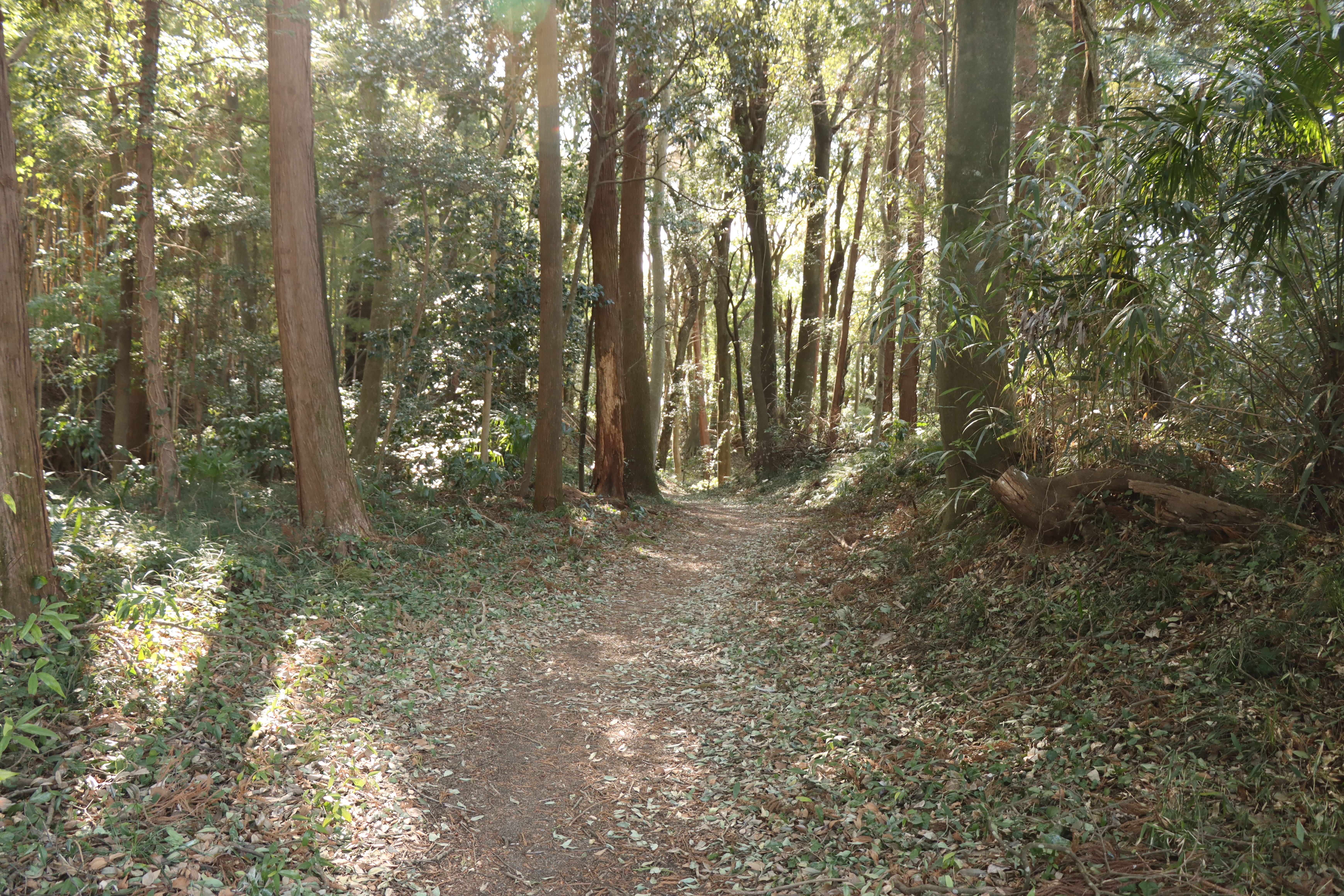 牛久城址6