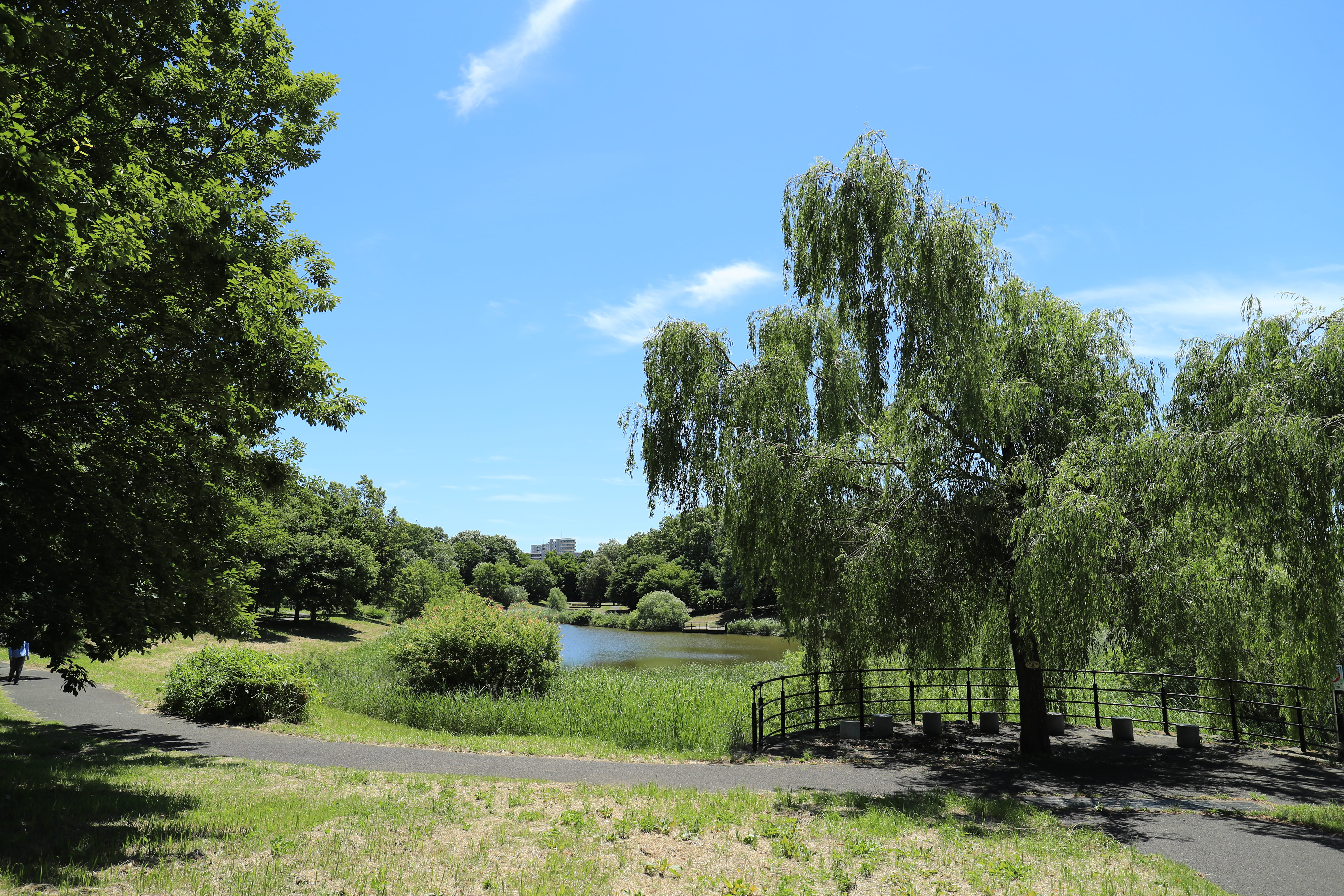 ひたち野みずべ公園1