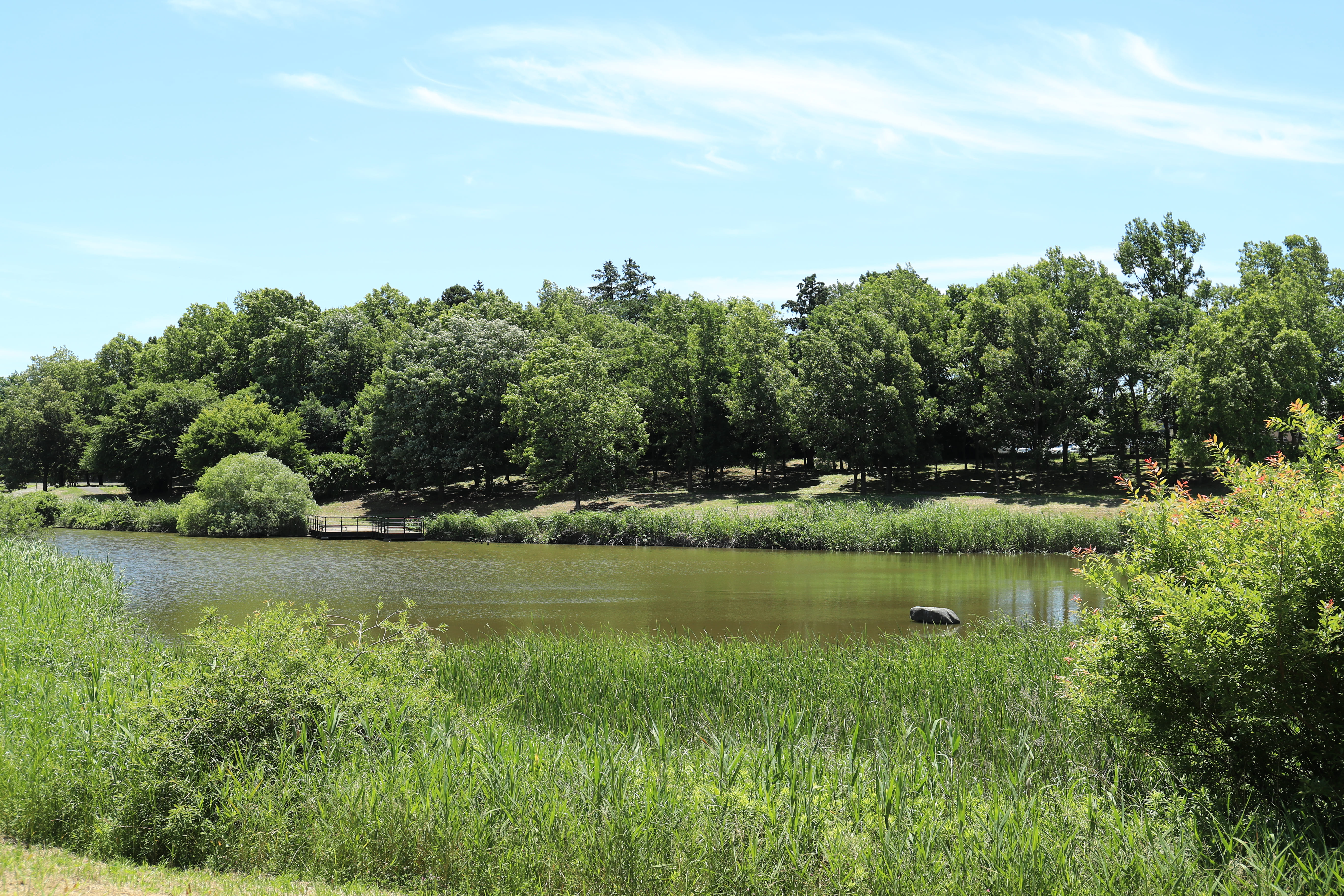 ひたち野みずべ公園2