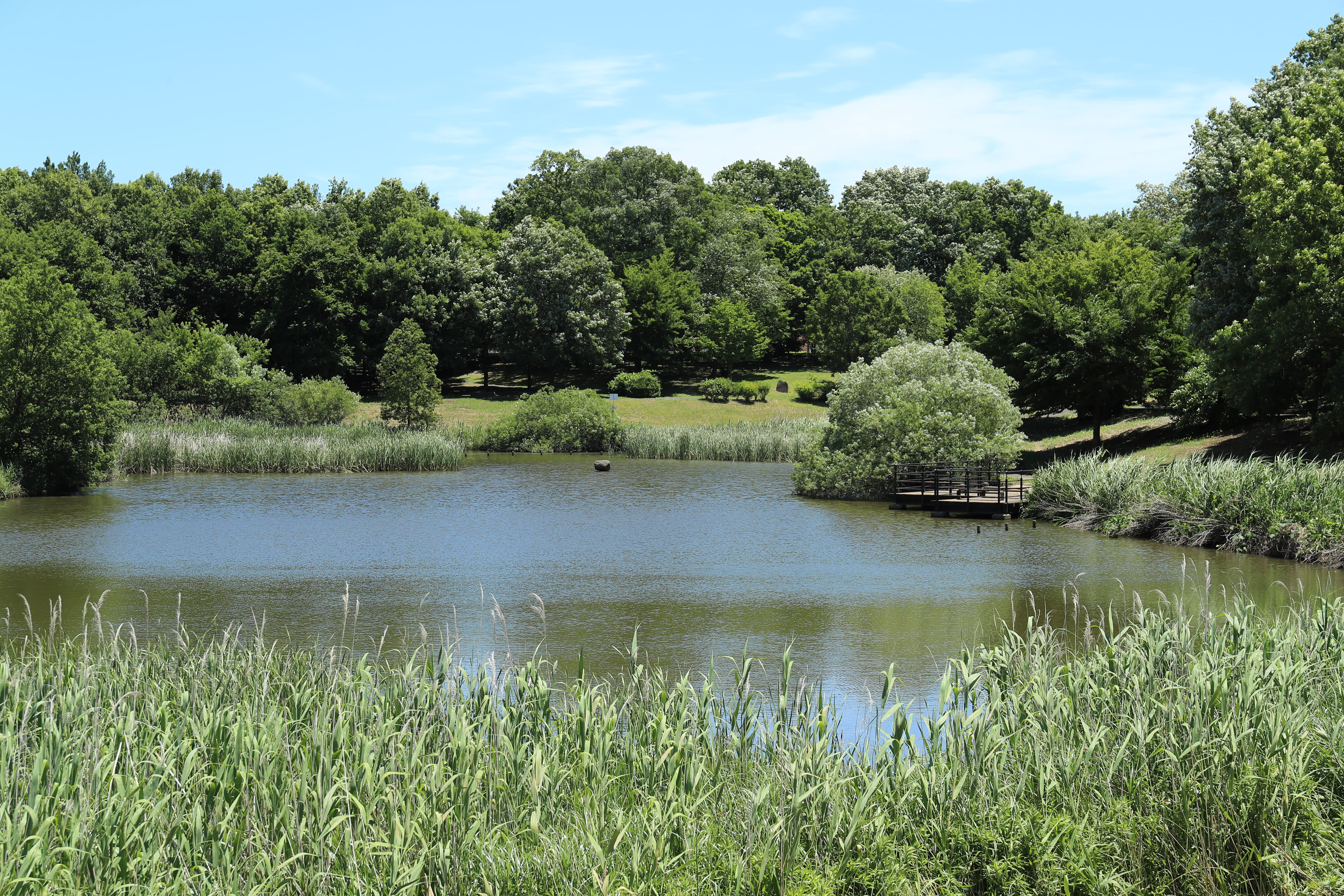 ひたち野みずべ公園4