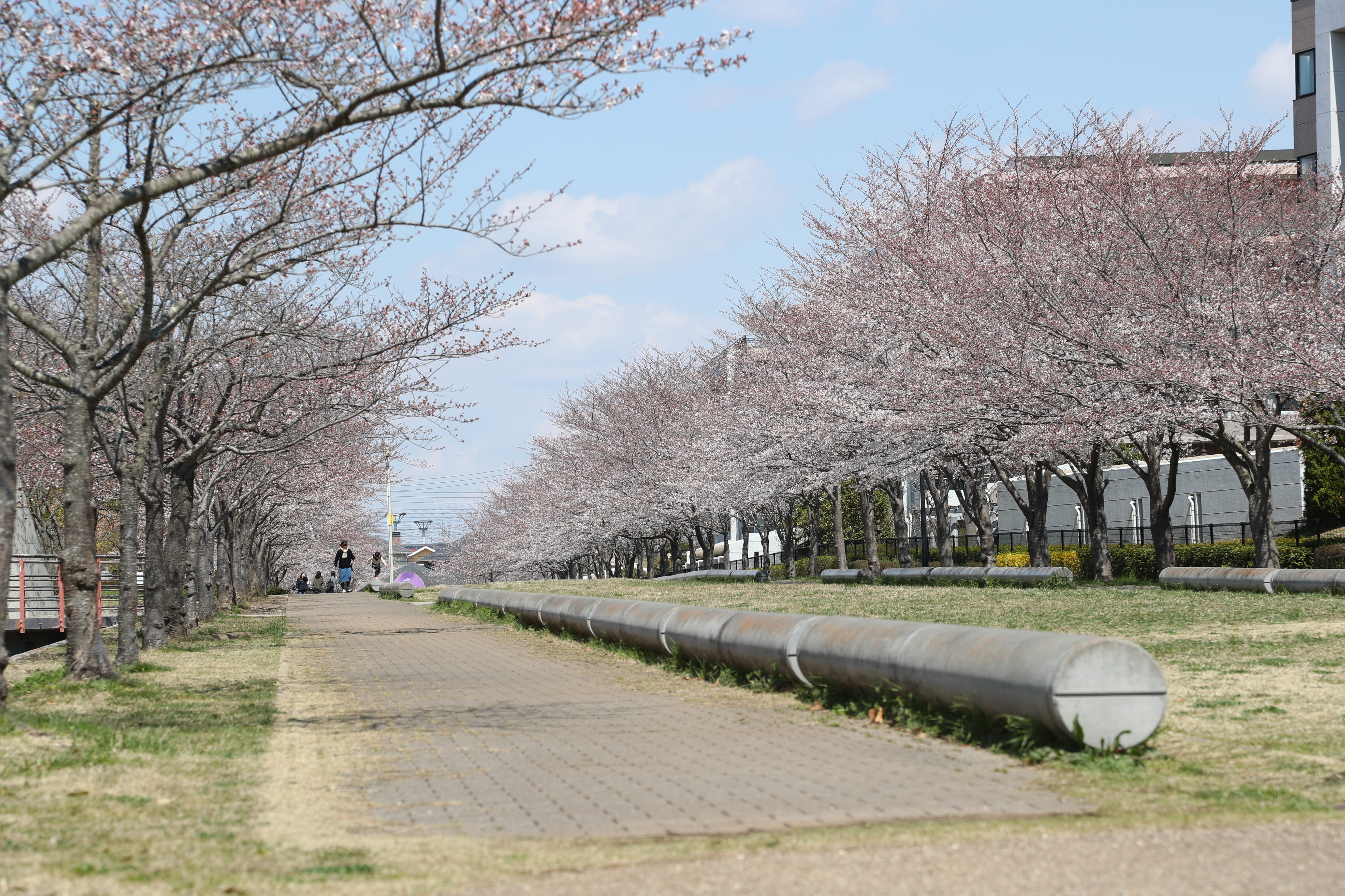 ひたち野さくら公園2