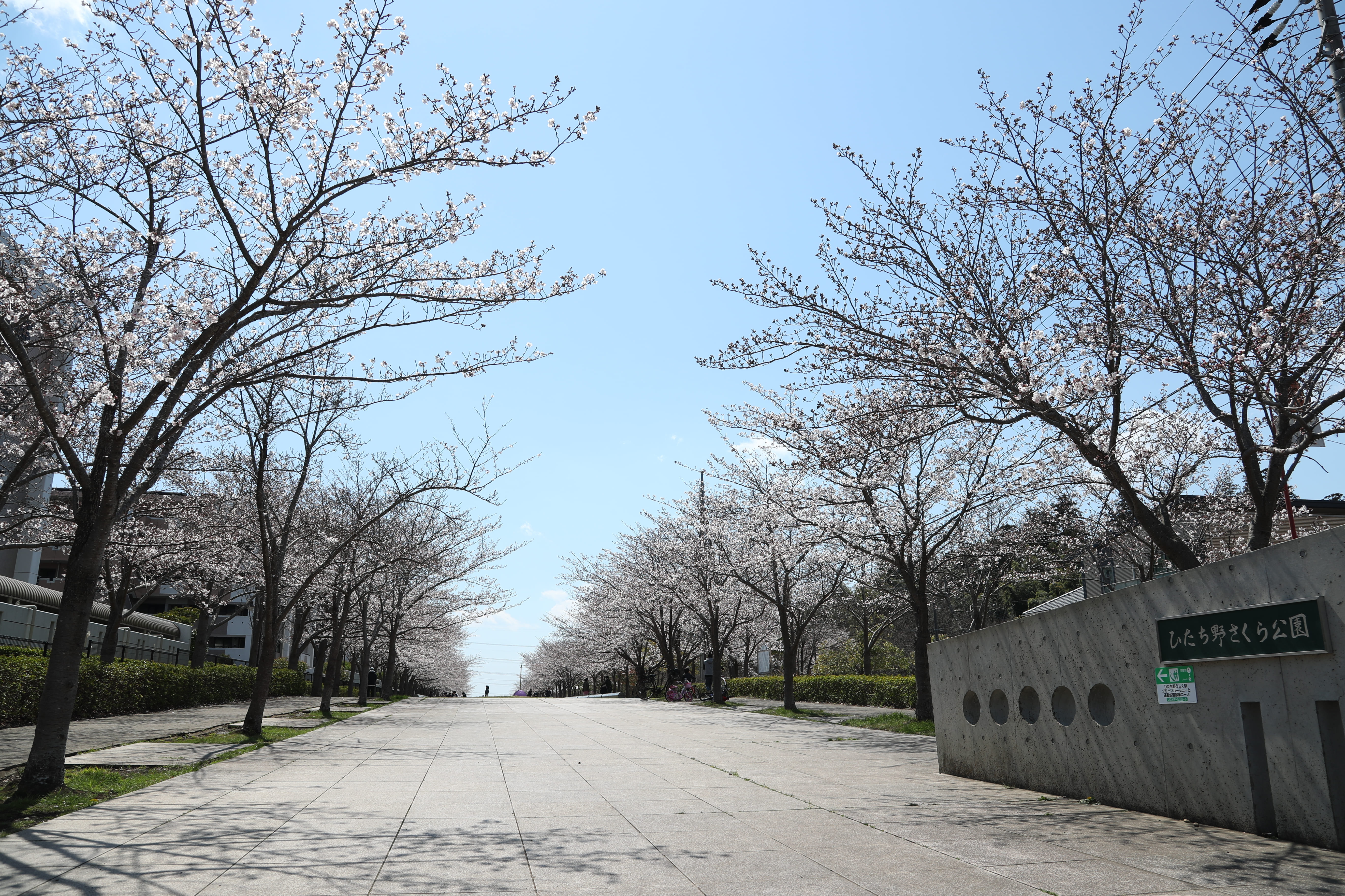 ひたち野さくら公園3