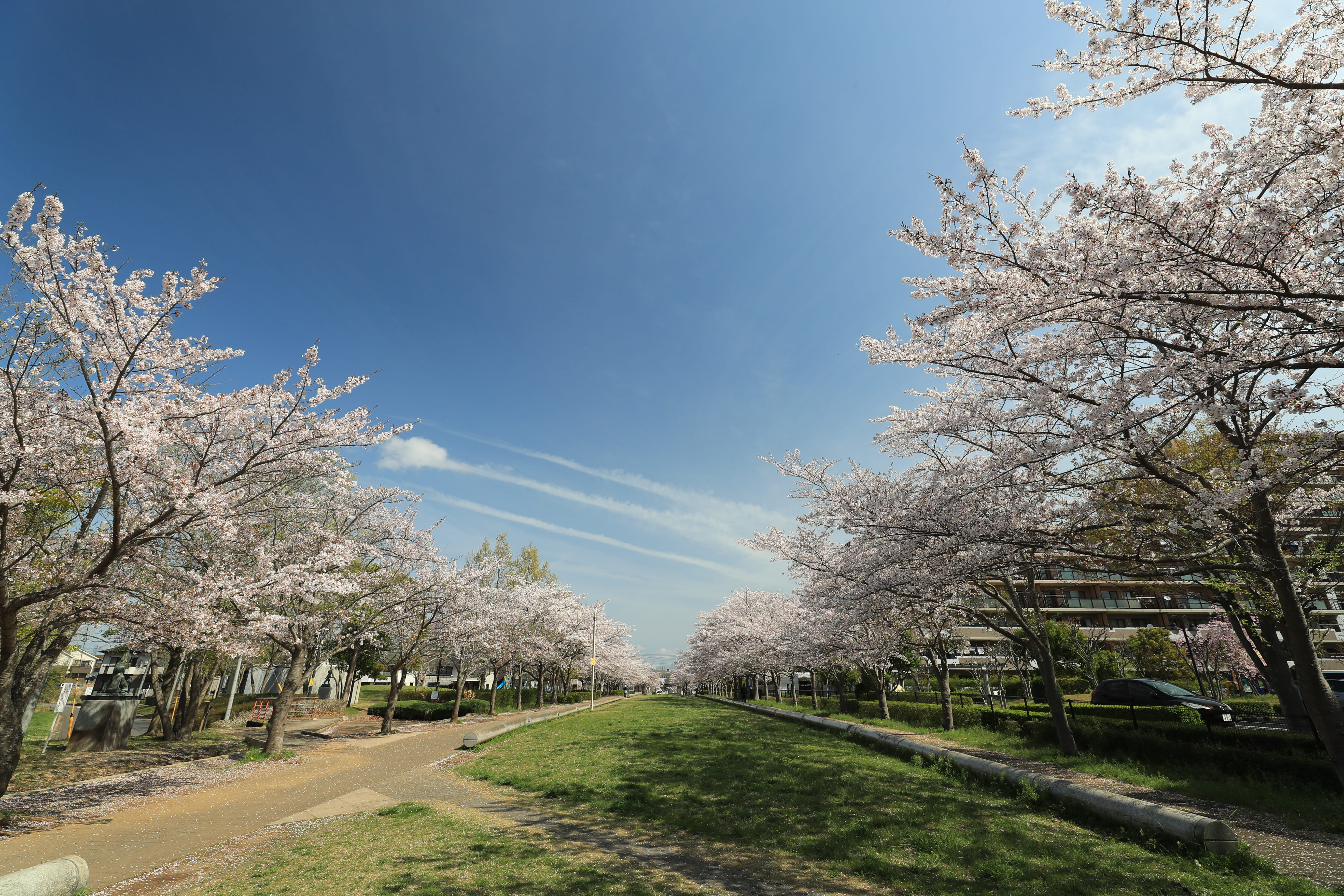 ひたち野さくら公園5