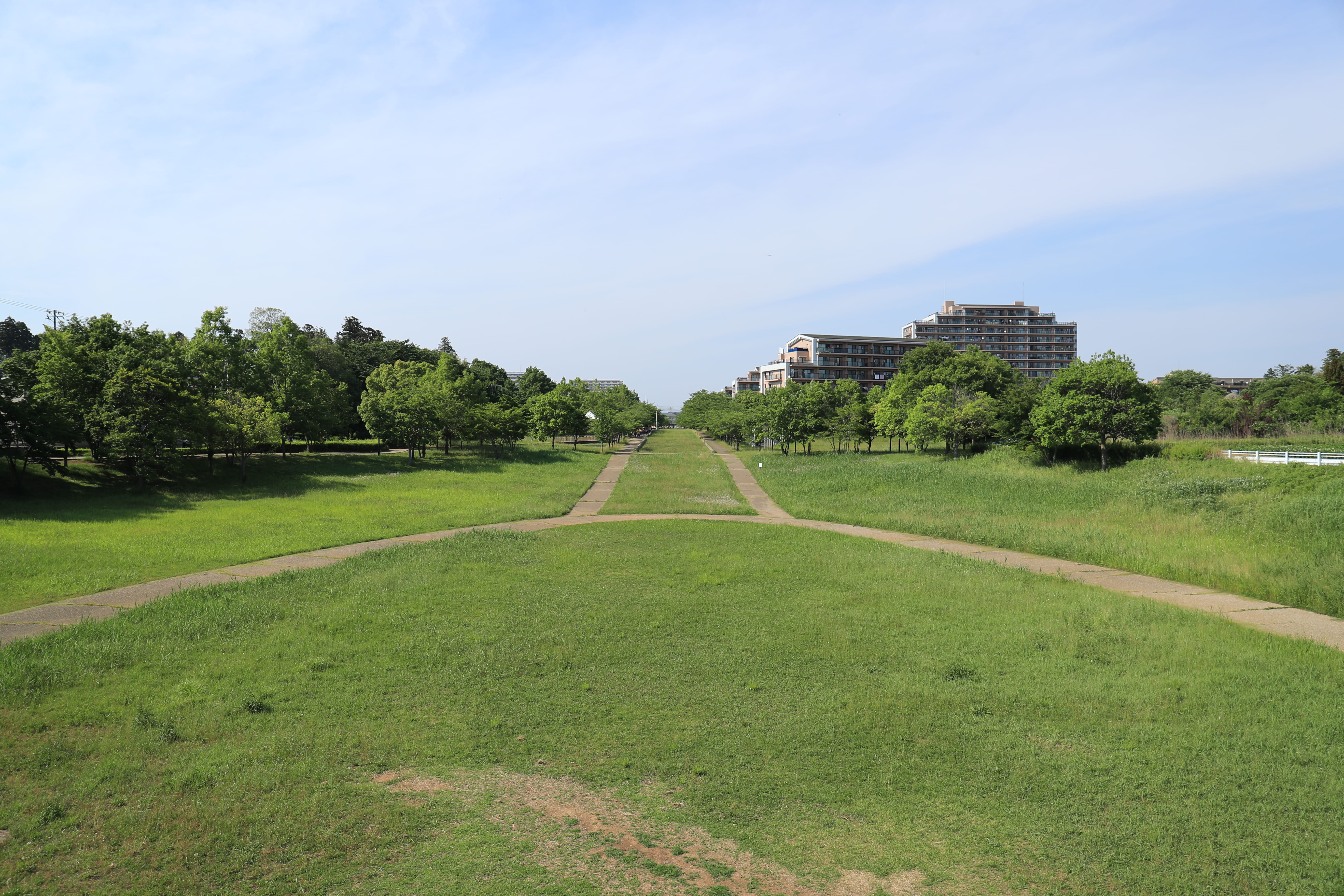 ひたち野さくら公園6
