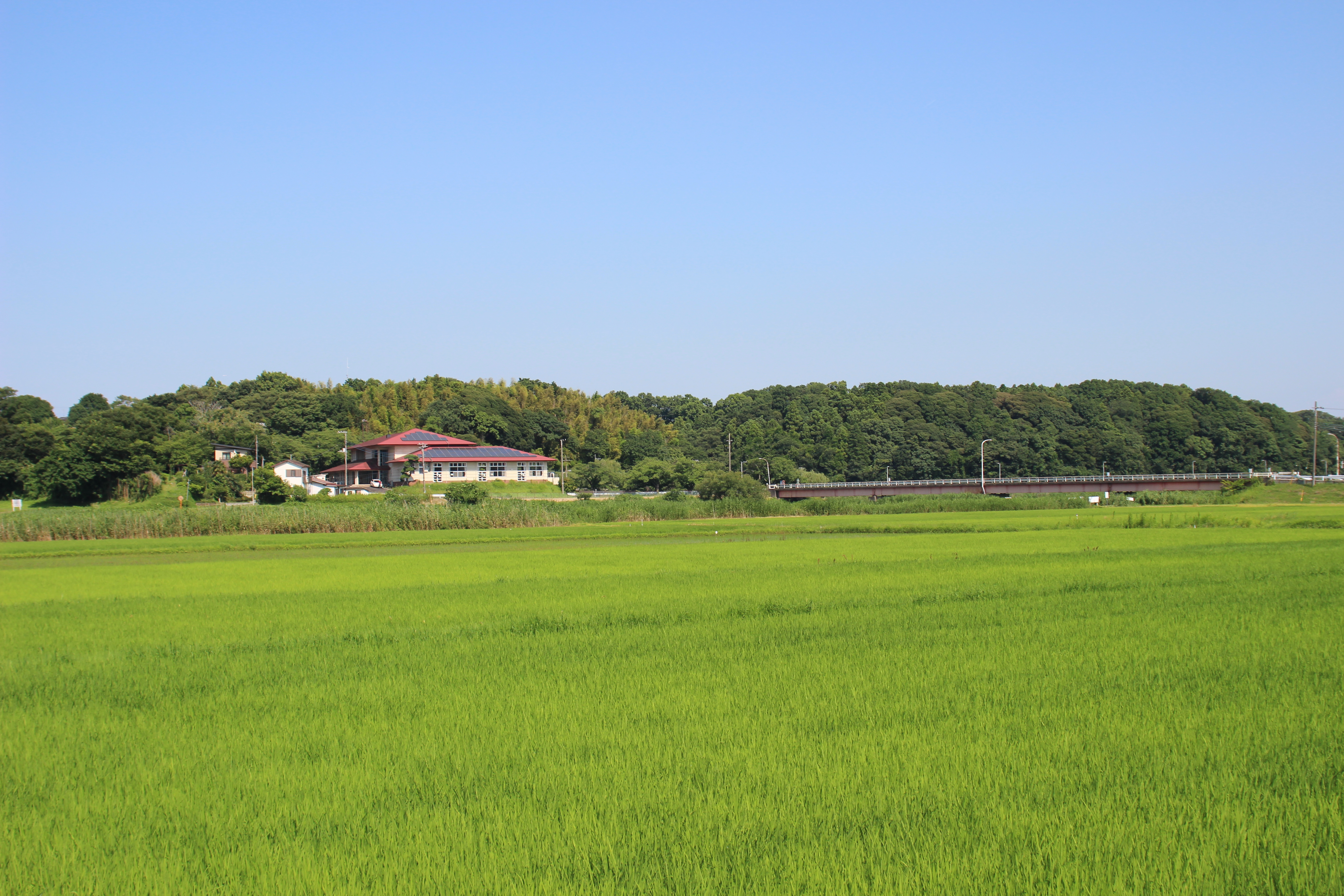牛久沼周辺4