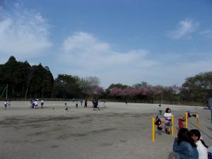 5月おくの3