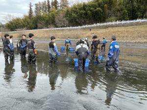 池の水(2)