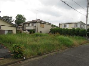 No.183(1)