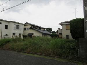 No.183(2)