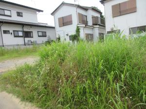 No.184(2)