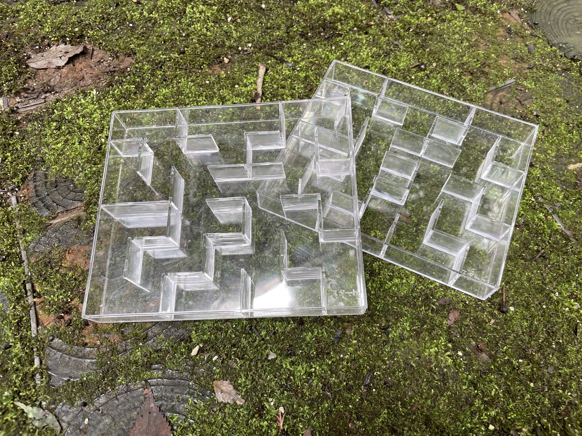 牛久自然観察の森2