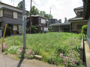No.201(2)