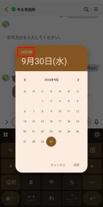 生年月日入力1