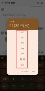 生年月日入力2