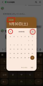 生年月日入力3