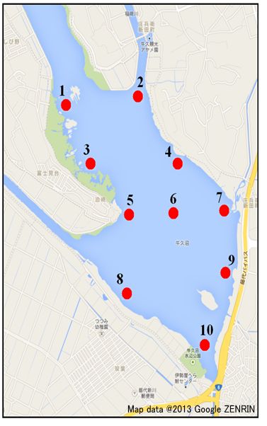 牛久沼のサンプル採取ポイント