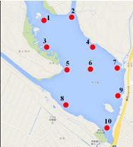 牛久沼サンプル採取ポイント