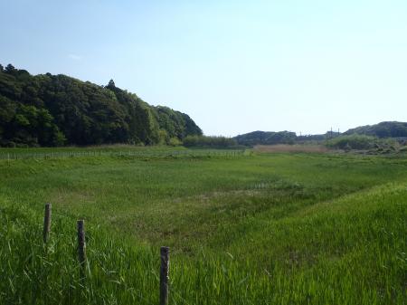 根古屋川緑地　写真