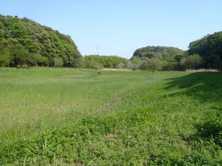 根古屋川緑地　写真