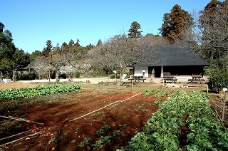 自然観察の森