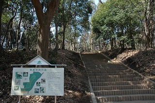 南裏市民の森 階段