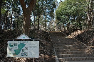 南裏市民の森 階段