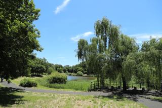 ひたち野みずべ公園