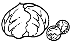 キャベツ